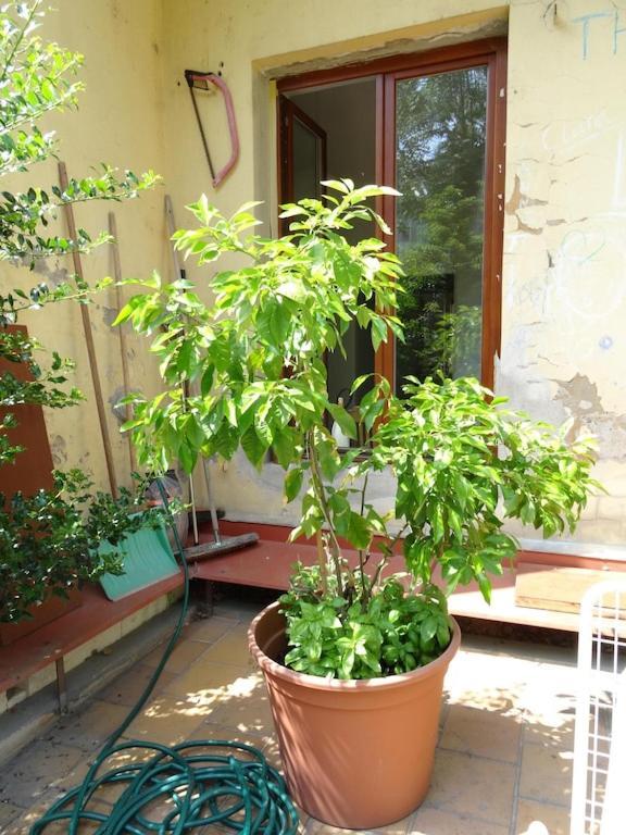 Garden Apartment On Art Nouveau Street In Central Prag Exteriör bild